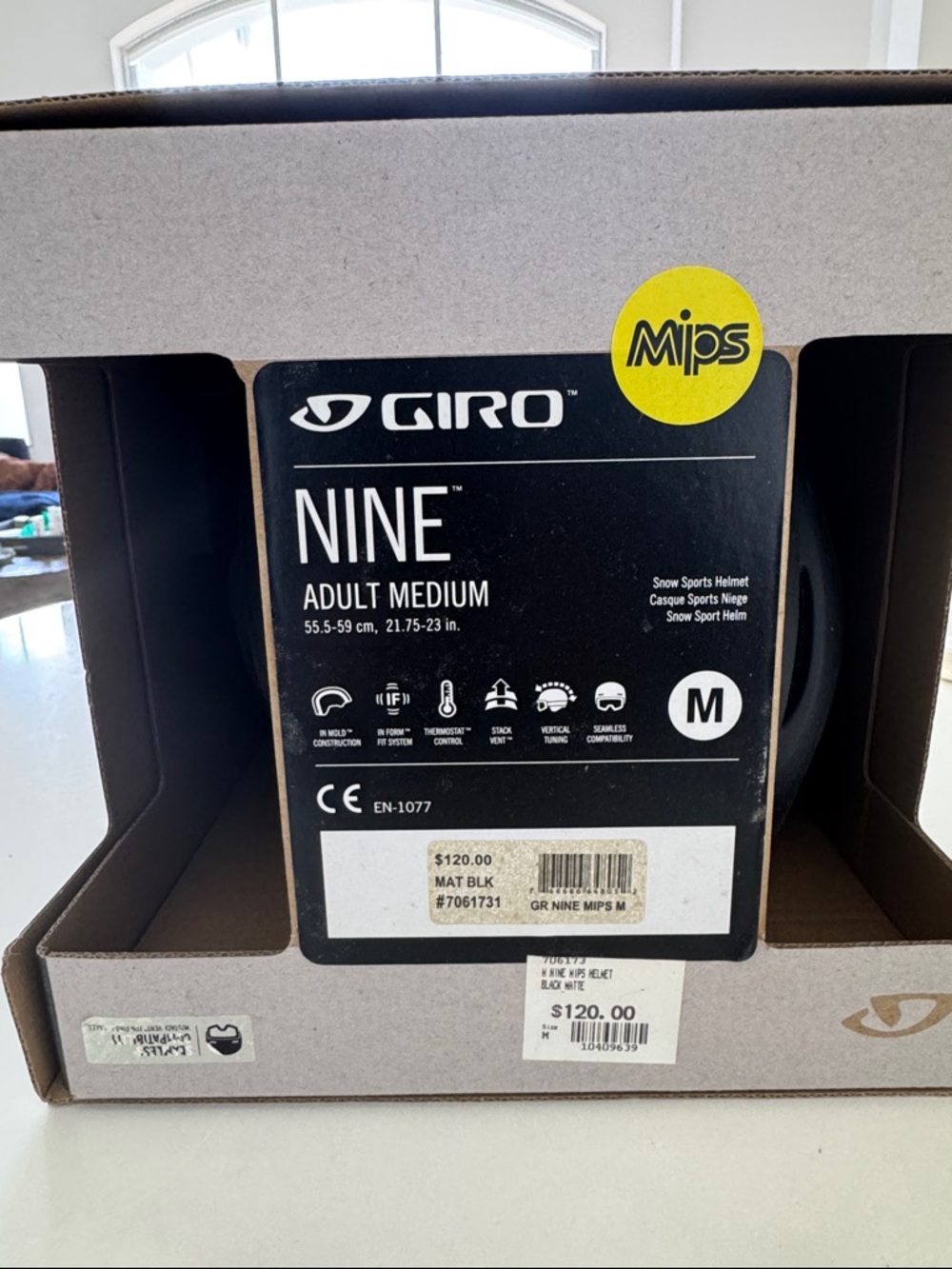 Giro Black and Gray Adult ski Helmet Interior View